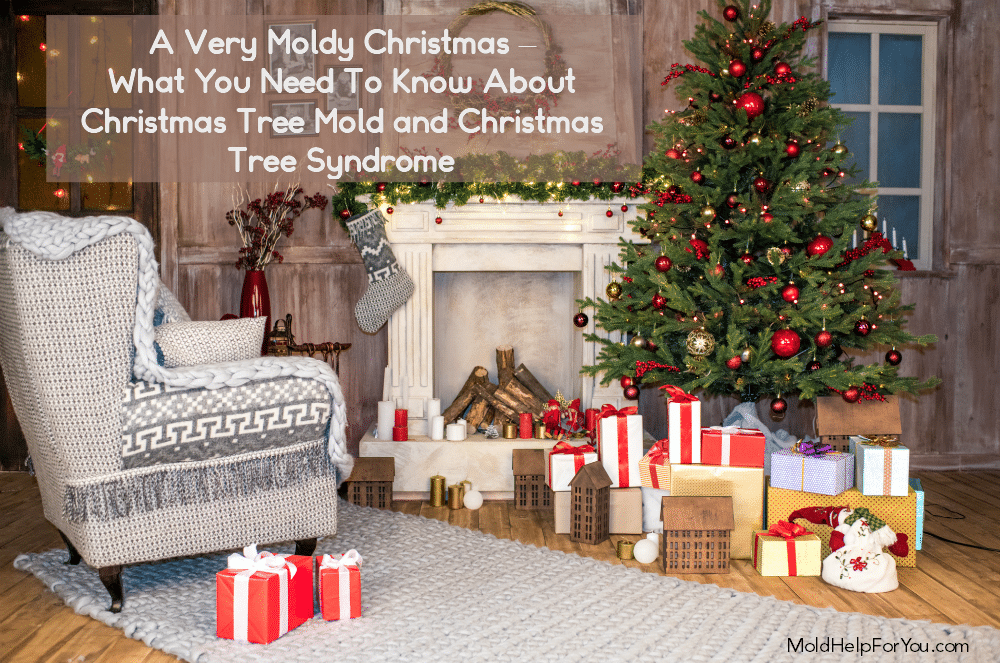 What You Need To Know About Christmas Tree Mold and Christmas Tree