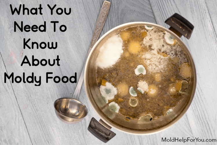 A stainless steel pot of soup with mold growing on the top. A ladel lies next to the pot. There is a caption reading "what you need to know about moldy food."