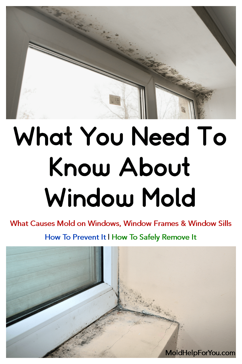 Mold growing around the top of a window. Second image shows mold growing on the window sill