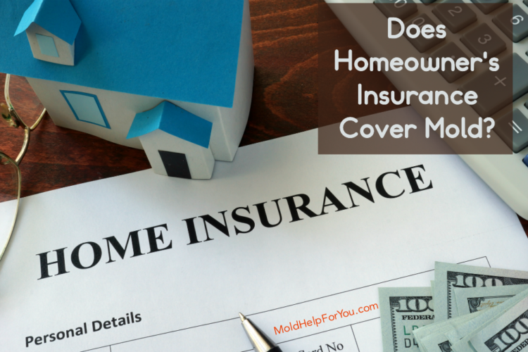 A paper house next to a homeowner's insurance policy with the caption "does homeowner's insurance cover mold?"