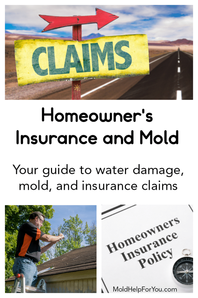 Does Homeowner’s Insurance Cover Mold? Mold Help For You