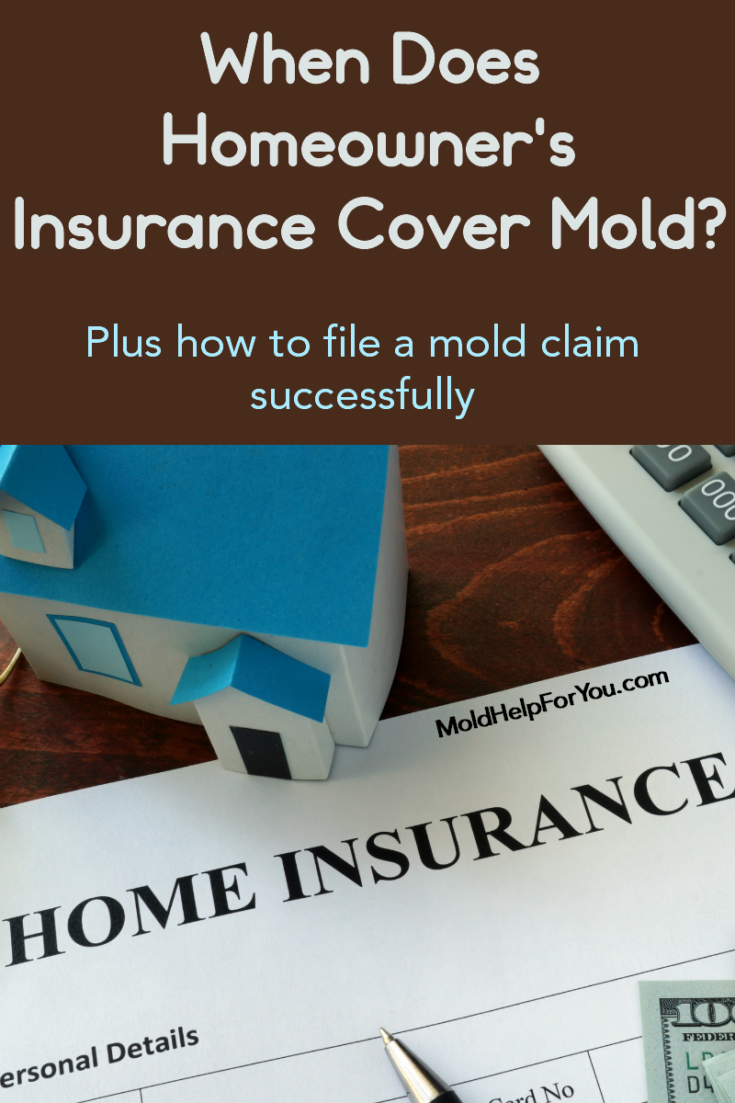 Does Homeowner’s Insurance Cover Mold? Mold Help For You