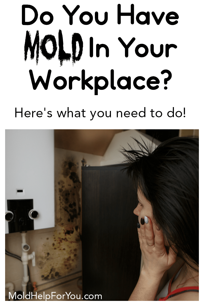 A receptionist lookint at mold in the workplace and wondering what her right's are.
