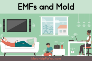 An illustration showing all the EMFs being released from electronic devices in our homes