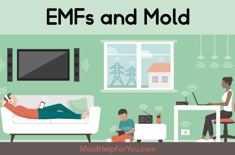 Mold and EMFs + 5G – What You Don’t Know Will Hurt You