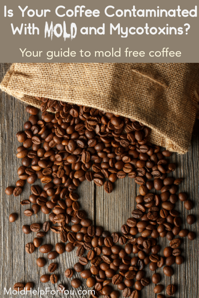 The Best Mold and Mycotoxin Free Coffee Brand Mold Help For You