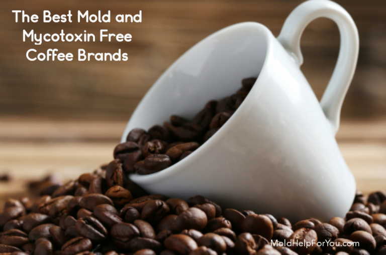 The Best Mold and Mycotoxin Free Coffee Brand