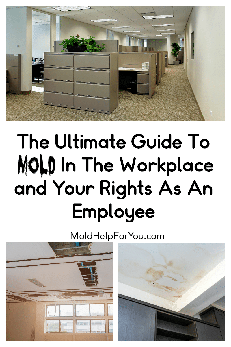 Visible water damage and mold in the workplace