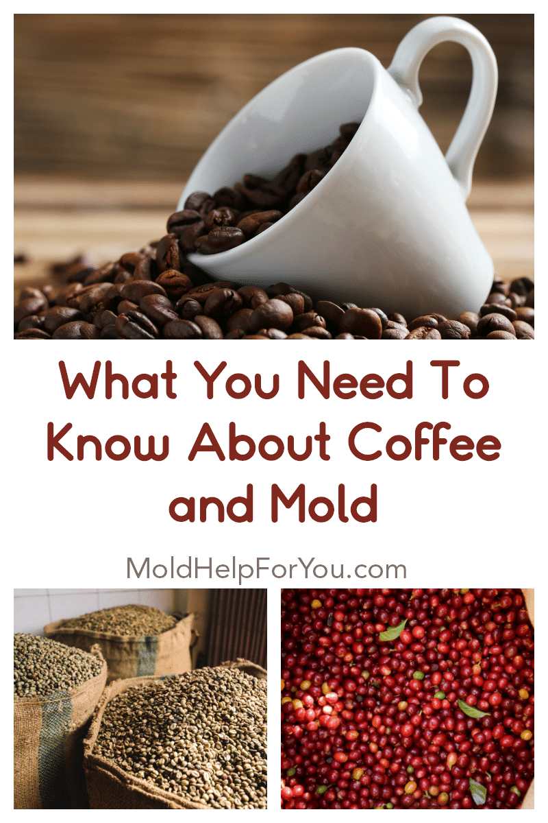 What You Need To Know About Coffee And Mold 
