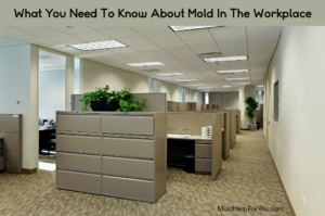 A clean looking office as an example of no mold in the workplace