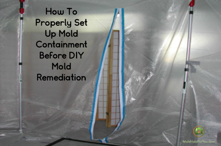 How To Properly Set Up Mold Containment Before DIY Mold Remediation