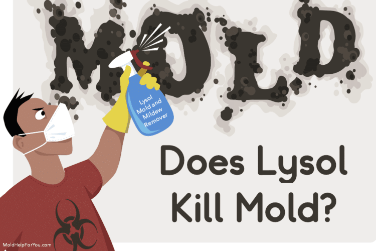 A cartoon drawing of a man with a mold respirator spraying Lysol mold and mildew remover on a moldy wall