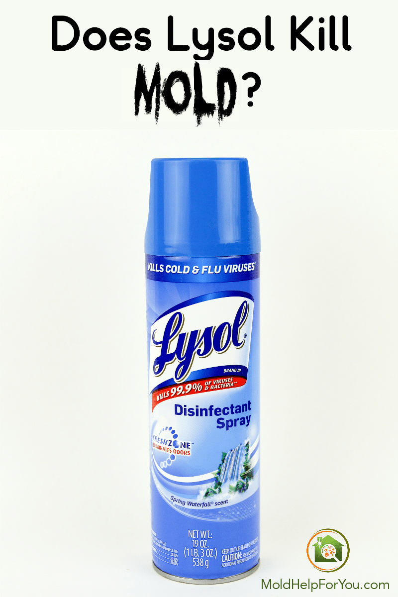 A can of original lysol disinfectant spray with the heading "does lysol kill mold" above it in black lettering