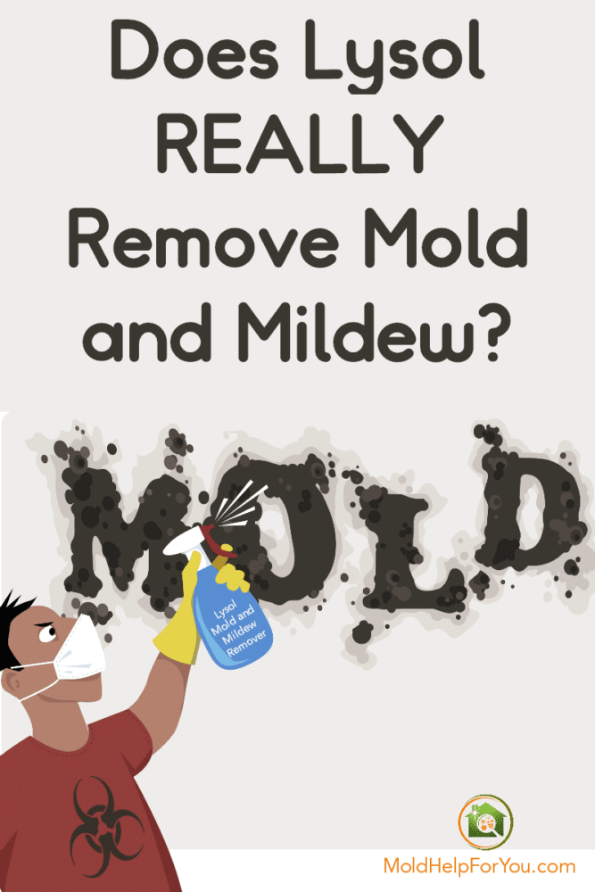 Does Lysol Kill Mold? Mold Help For You