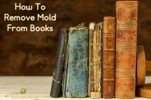 6 old books with mold leaning against a book end on a table