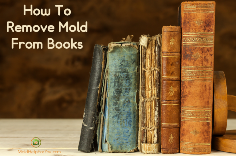 How To Remove Mold From Books