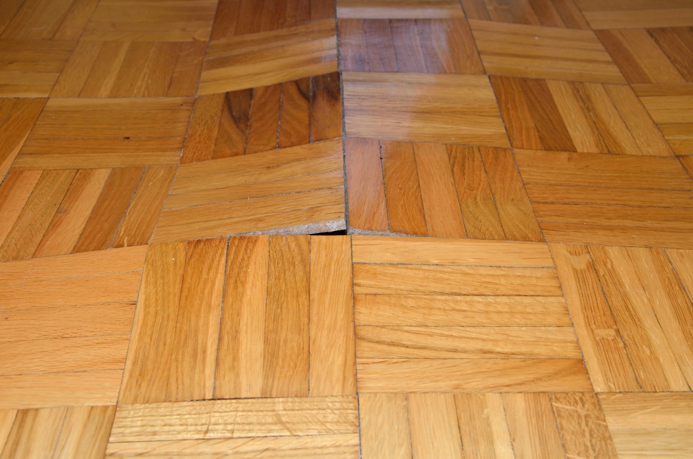 What Kills Mold On Wood Help, Can Mold Grow On Hardwood Floors