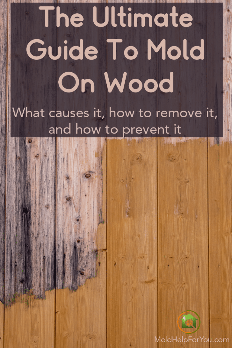 What Kills Mold On Wood? Mold Help For You
