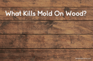a distressed wood panel with the words "What Kills Mold On Wood" written in white letters