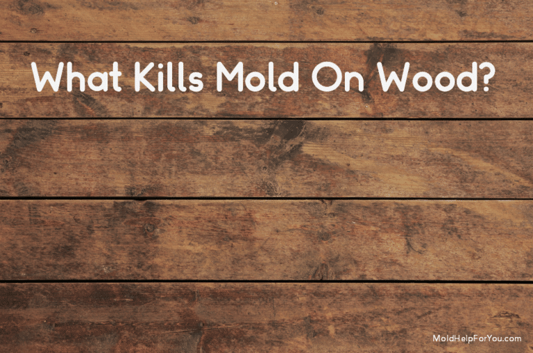 What Kills Mold On Wood?