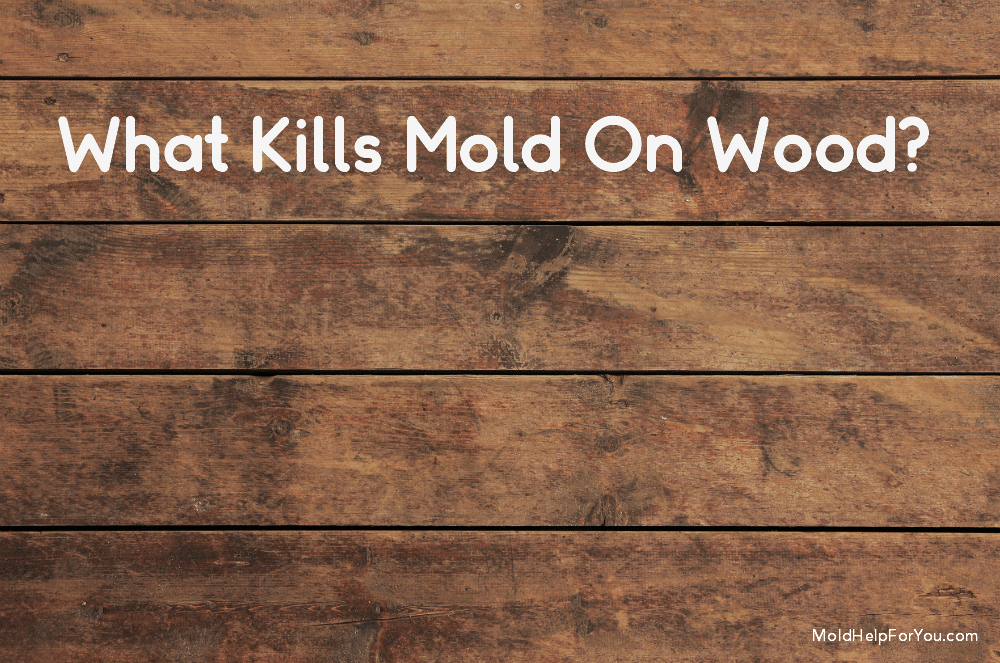 What Kills Mold On Wood Help For You - How To Get Mildew Off Wood Furniture