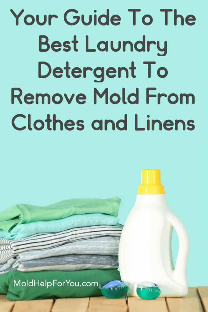 Your Guide To The Best Laundry Detergent To Remove Mold Mold Help For You