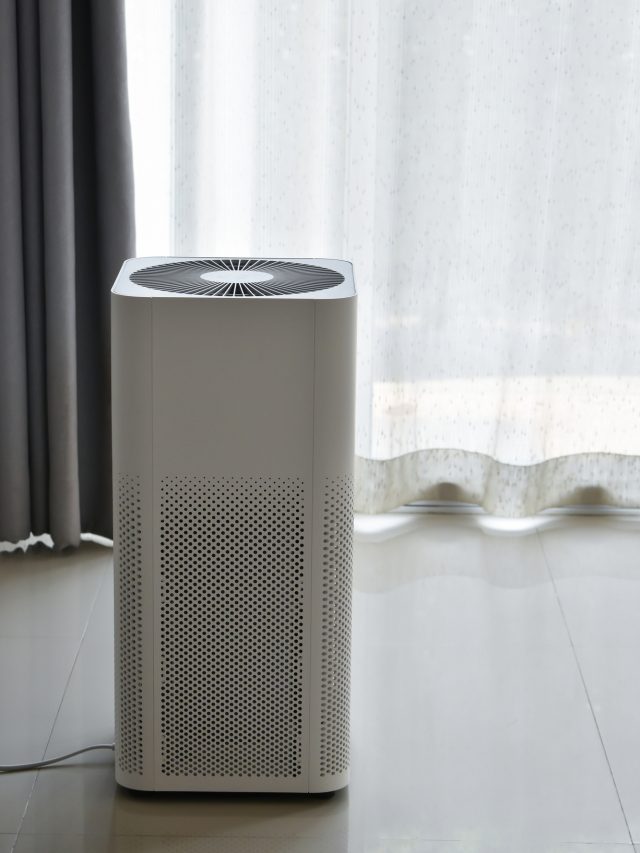 7 Best Air Purifiers for Mold