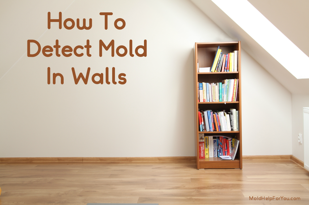 mold on walls