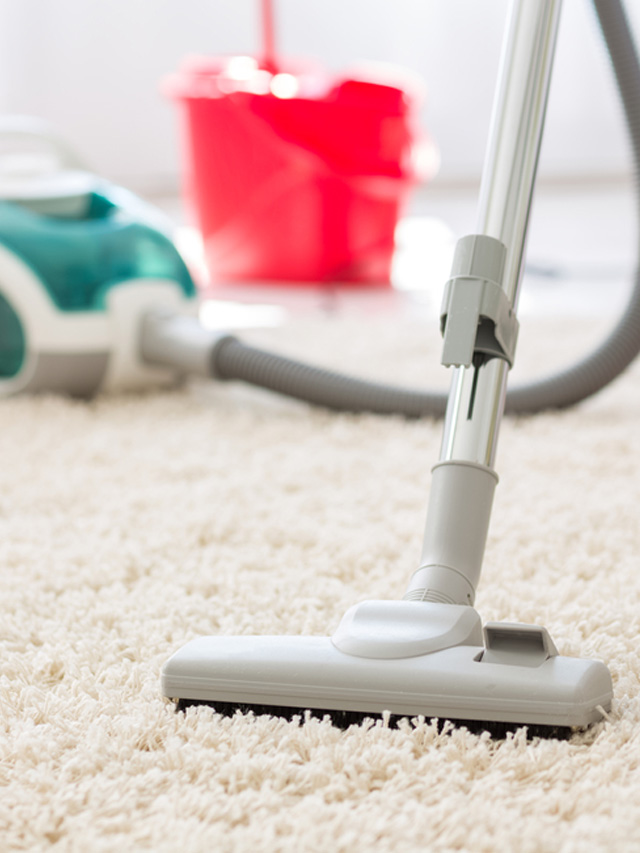 7 Best HEPA Vacuums for Mold