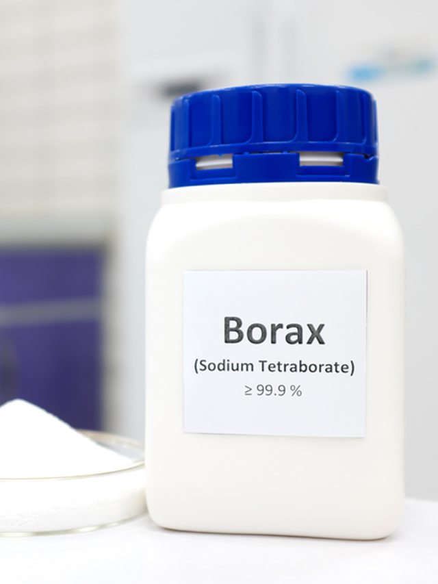 Does Borax kill mold?