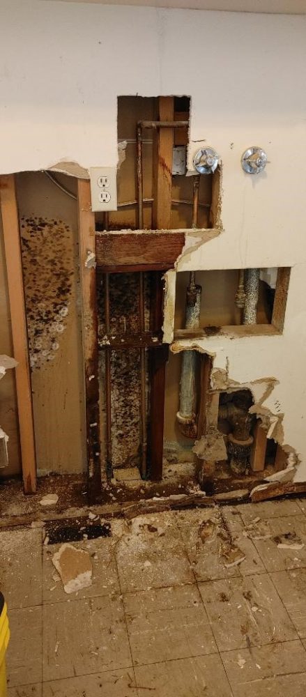 A laundry room wall that has been torn open after a leak revealing moldy drywall. 