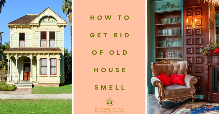 How To Get Rid Of Old House Smell