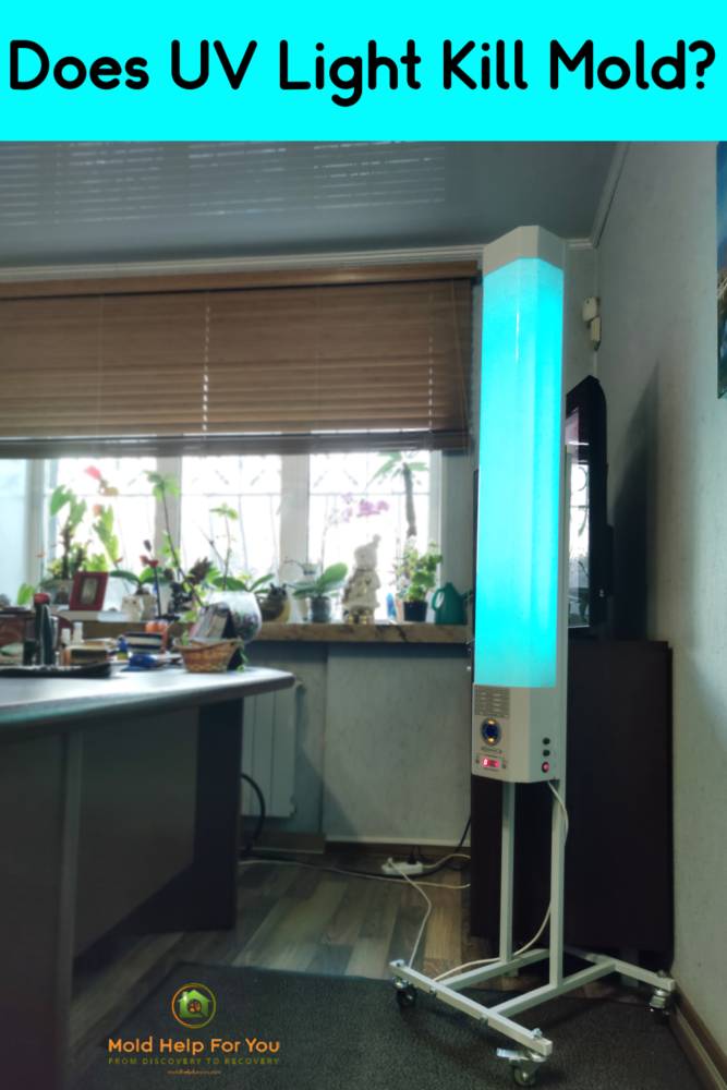 An industrial UV-C light in a kitchen to kill mold.