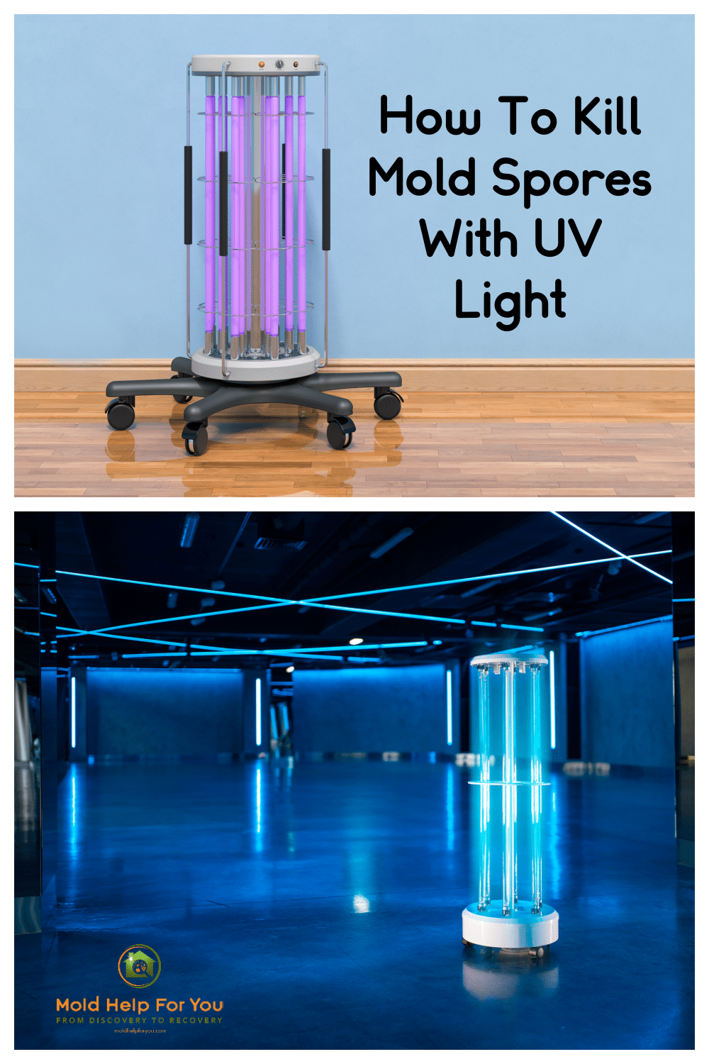 Does UV Light Kill Mold?