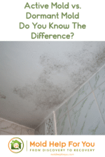 Active Mold vs. Inactive Mold