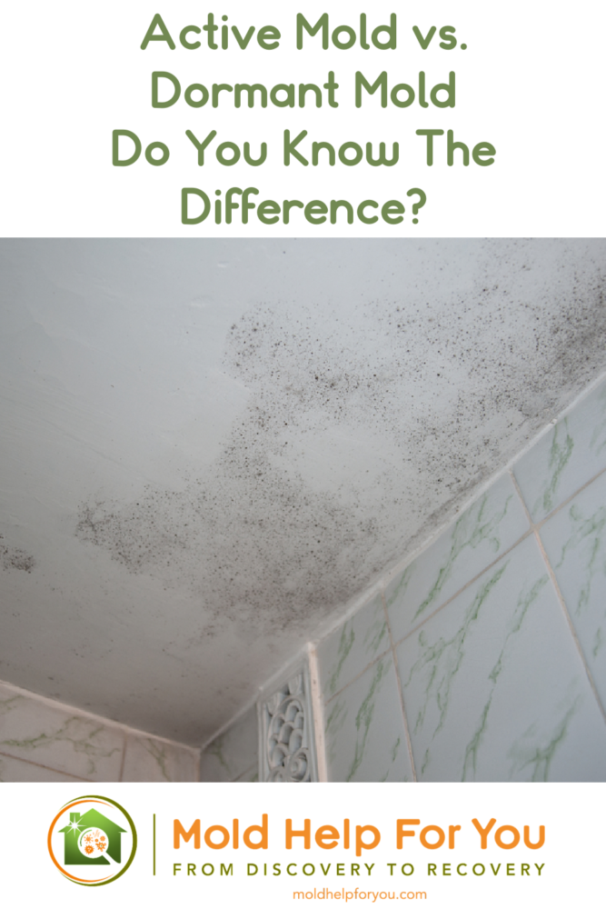 A bathroom ceiling with active mold growth. Green and white shower tiles with swirls. 