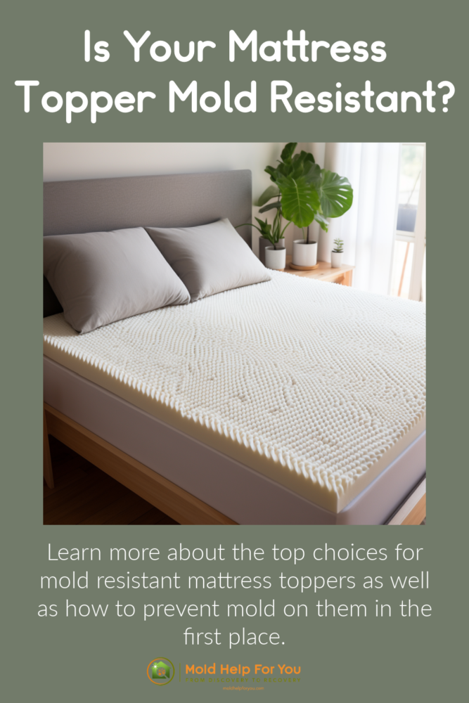 A mold resistant latex mattress topper on top of mattress. Bed has grey fabric bed frame.