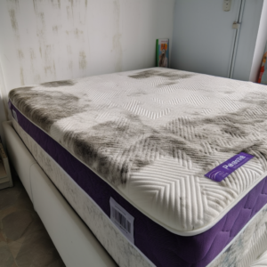 A moldy mattress in a bedroom with mold on the walls