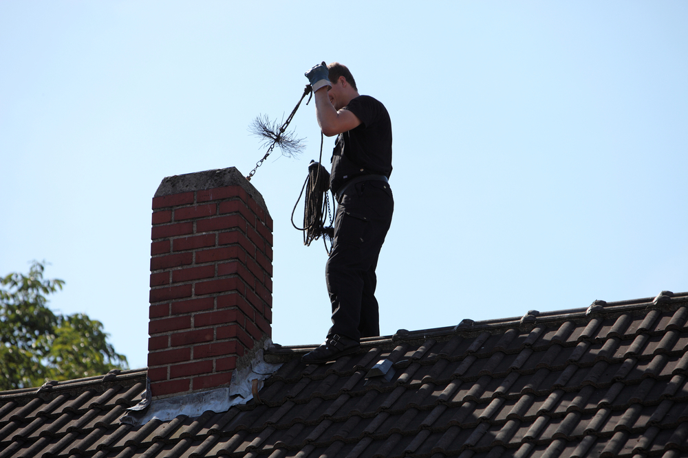 A chimney sweep performing routine maintenance on a chimney to prevent mold in a fireplace. 