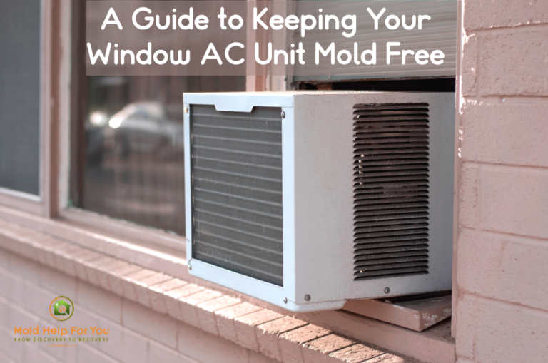 A Guide to Keeping Your Window AC Unit Mold Free