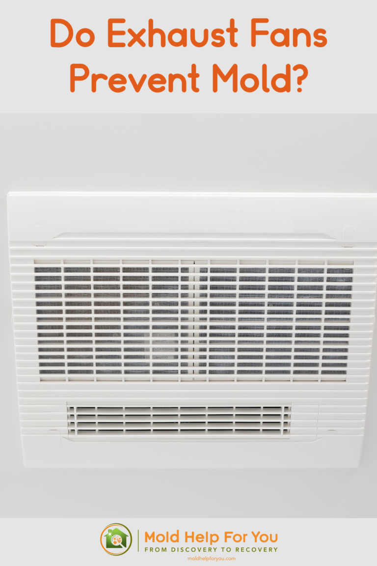 Do Exhaust Fans Prevent Mold? Mold Help For You