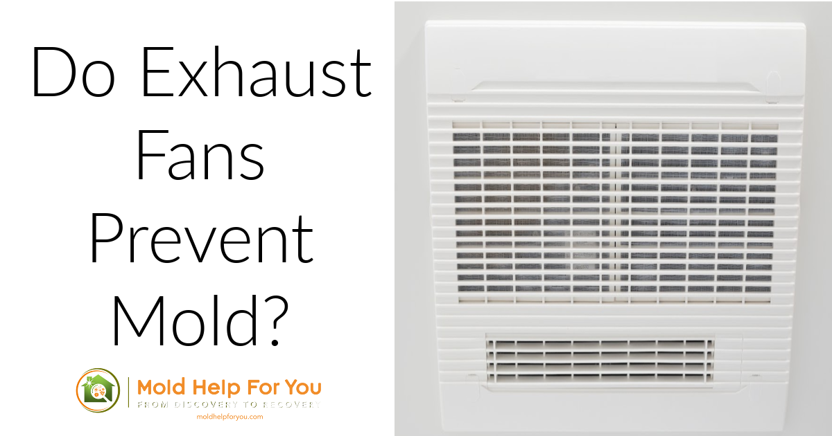 Do Exhaust Fans Prevent Mold? Mold Help For You