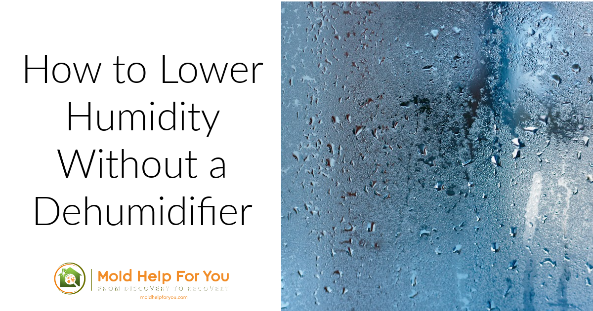 How to Lower Humidity Without a Dehumidifier Mold Help For You