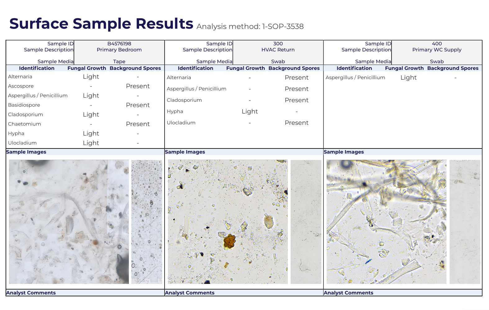 Lab report showing active mold growth